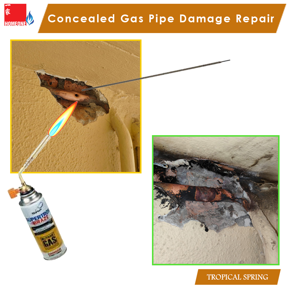 Tropical Spring - Gas Pipe Damage Repair
