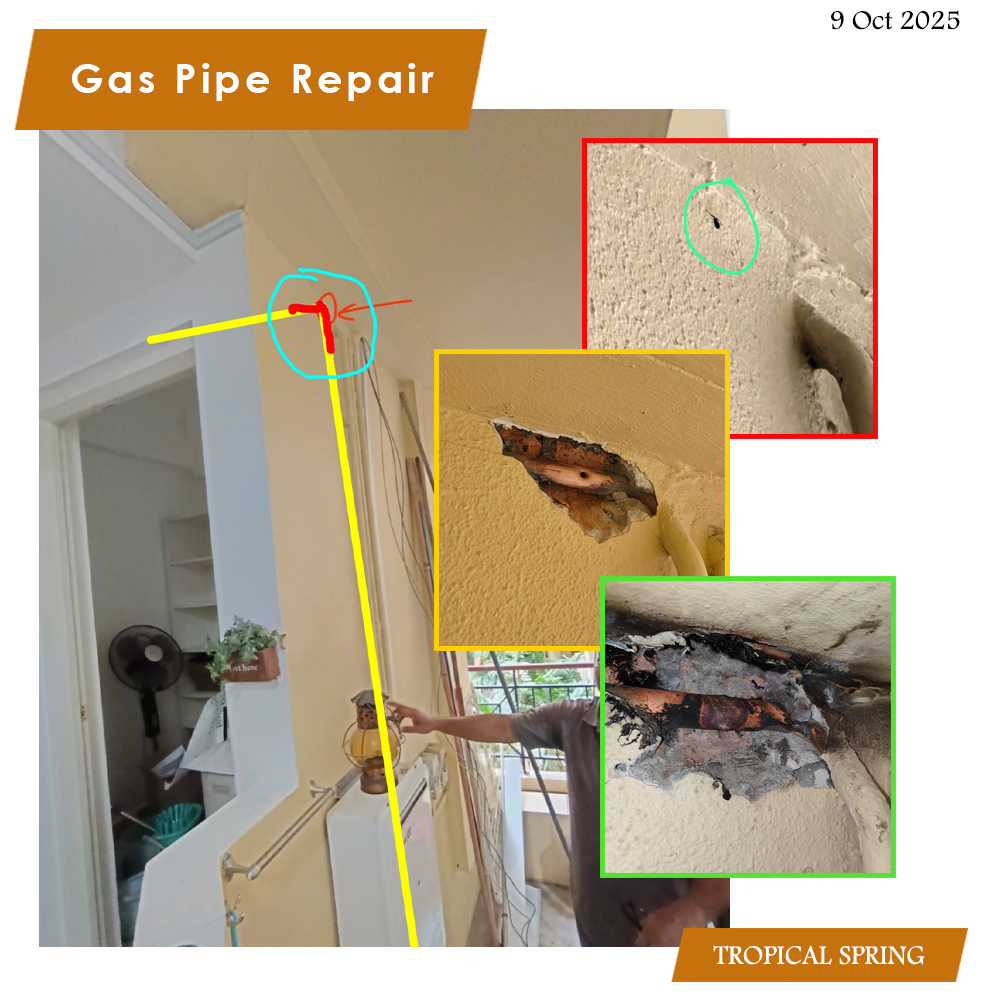 Tropical Spring - Gas Pipe Repair