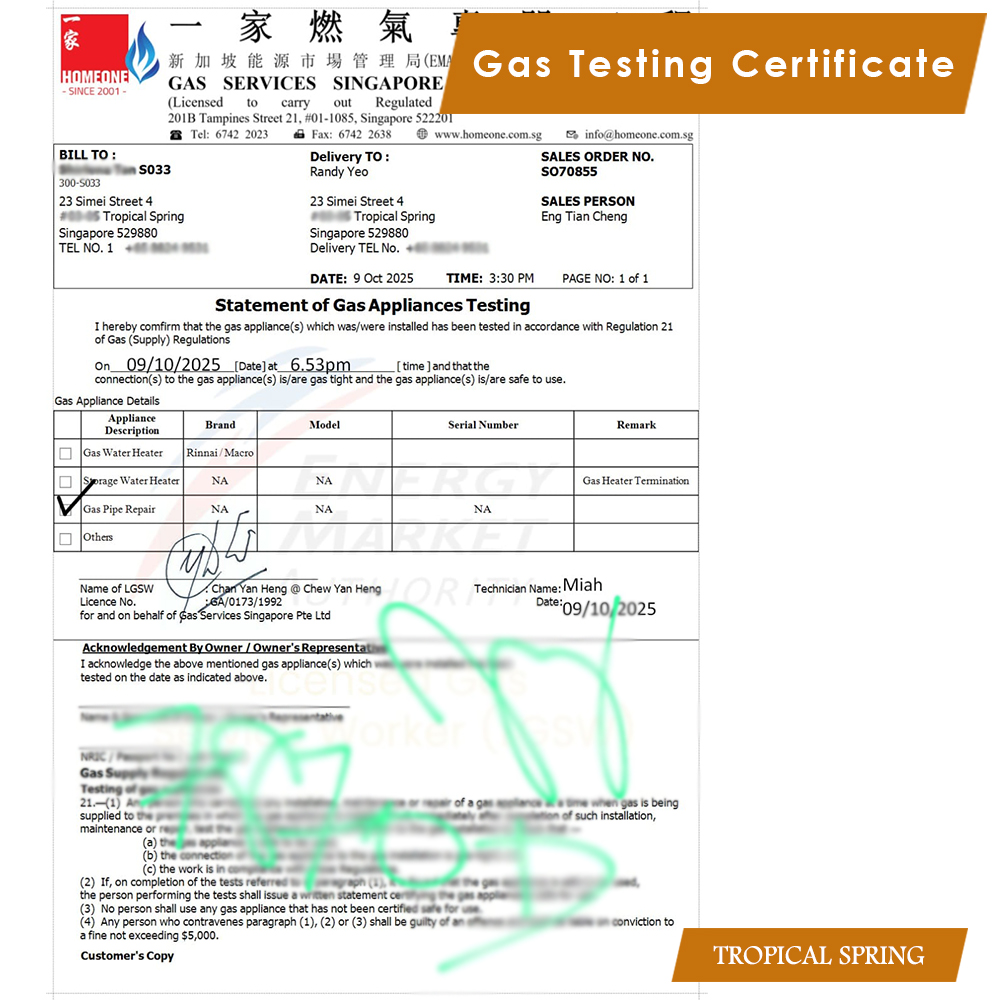 Tropical Spring - Gas Pipe Damage Repair - Gas Testing Certificate